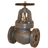 F7309 16K Cast Iron Globe Valve 500